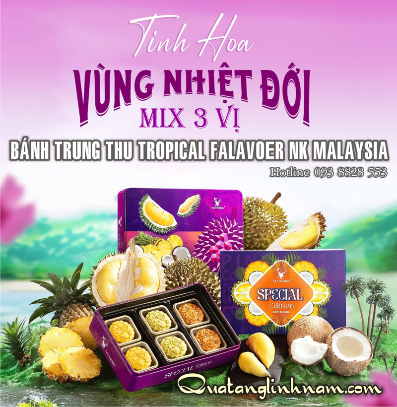 banh-trung-thu-tropical-flavor-mooncake-mix-3-vi-093-8828-553