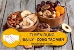 Tuyển dụng đại lý, CTV phân phối sản phẩm các mặt hàng trái cây hạt sấy. Tuyển dụng đại lý, CTV phân phối sản phẩm các mặt hàng trái cây hạt sấy.